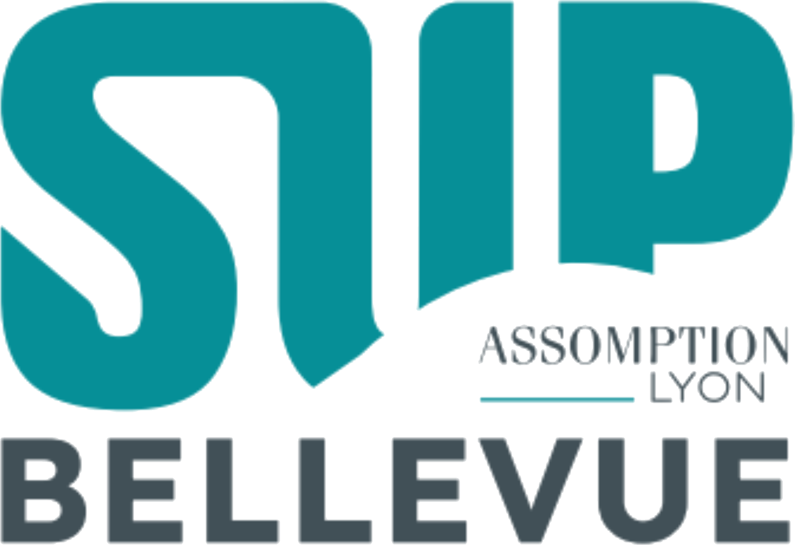 Logo Sup Bellevue