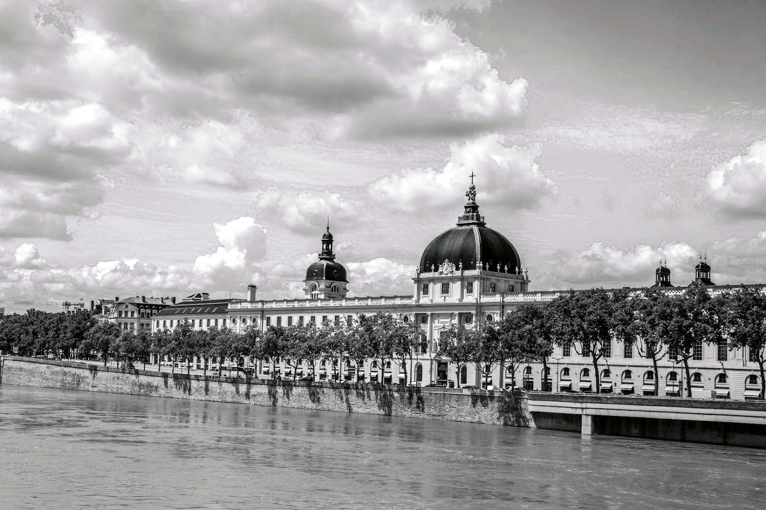 Grand Hôtel-Dieu, Lyon