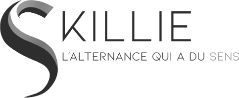Skillie