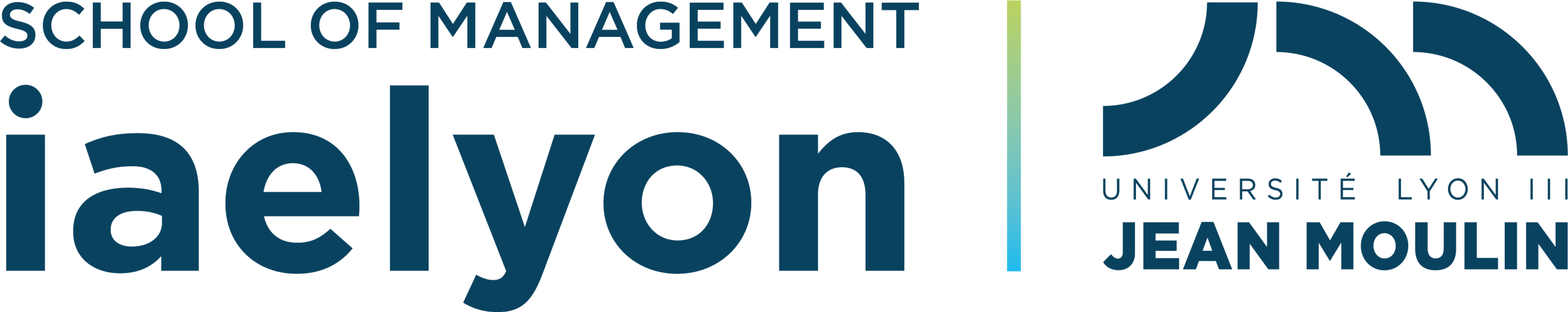 Logo iaelyon School of Management